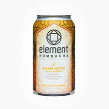 Load image into Gallery viewer, GINGER NETTLE KOMBUCHA 12oz - Element Kombucha - San Antonio, TX
