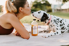 Load image into Gallery viewer, GINGER NETTLE KOMBUCHA - 6 pack of 14oz bottles