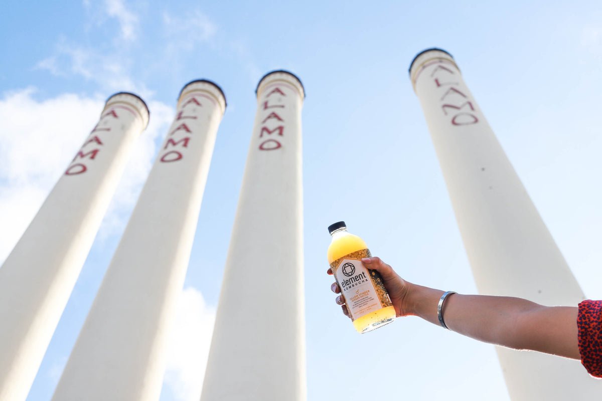 Ginger Nettle Kombucha San Antonio (Case of 6 16oz Bottles) Element