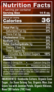 SUMMER VIBES KOMBUCHA - 6 pack of 14oz bottles
